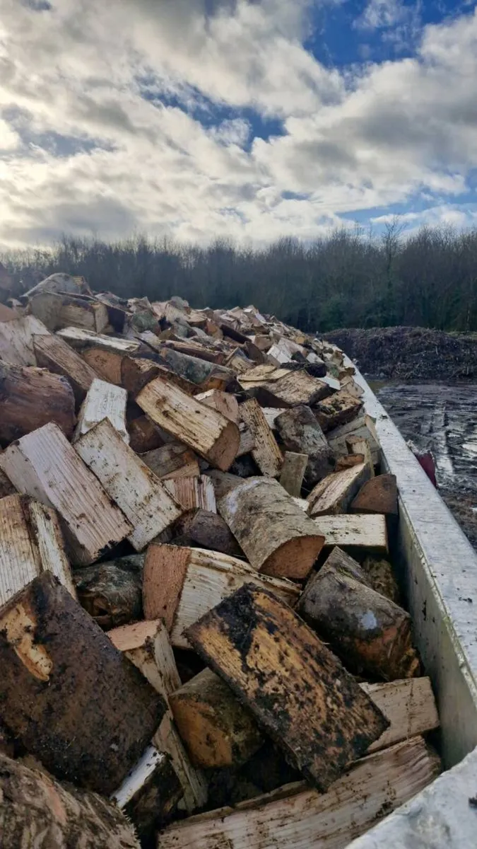 Hardwood timber - Image 4