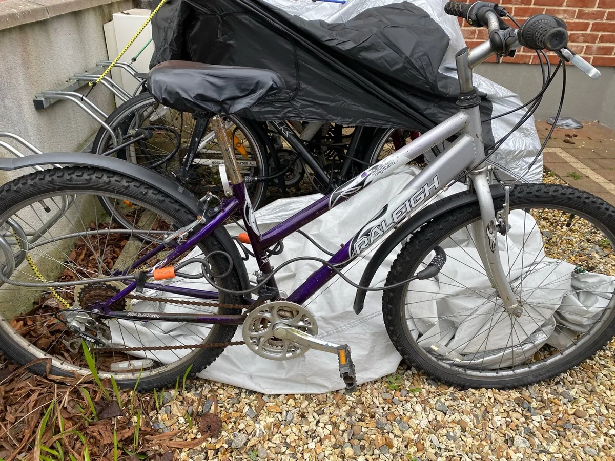 Unisex, Newly serviced Youth/young adult bike - Image 1