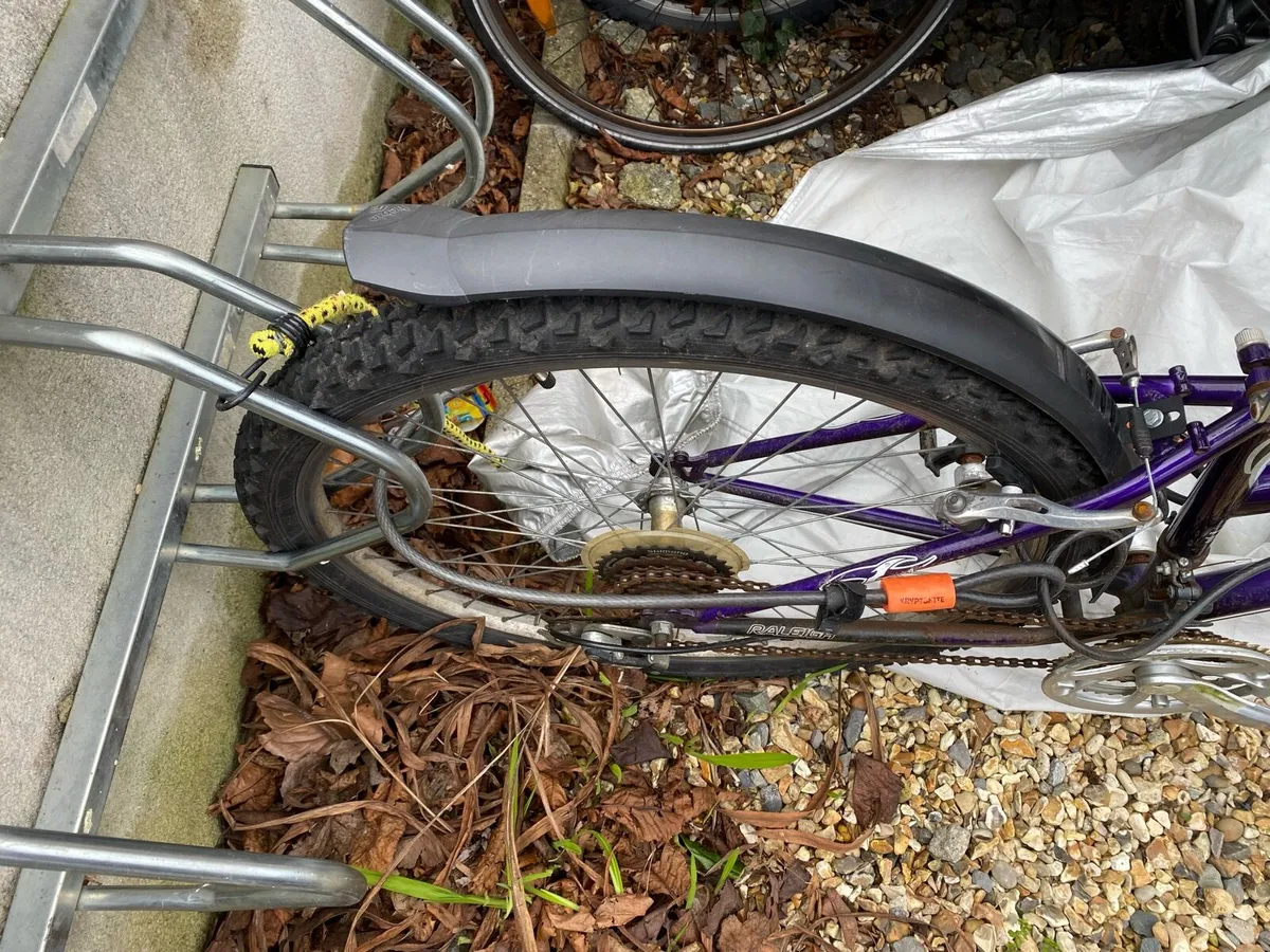 Unisex, Newly serviced Youth/young adult bike - Image 2