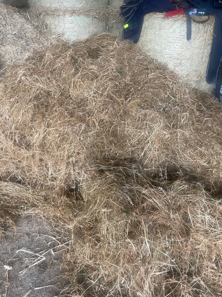 Haylage- Top quality - Image 3