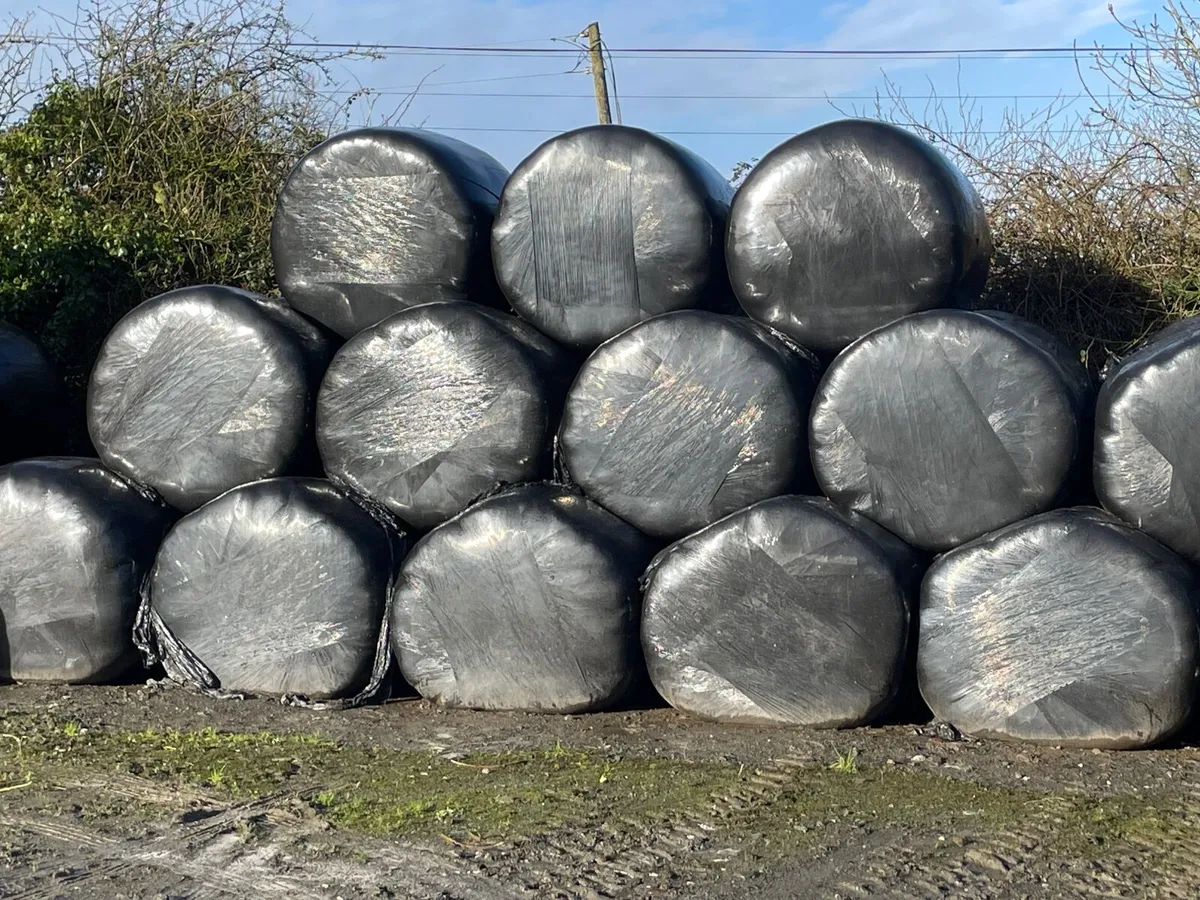 Haylage- Top quality - Image 1