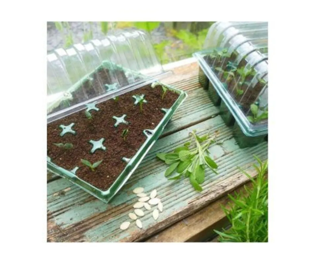 Gro-Sure Visiroot Twin Propagator Set