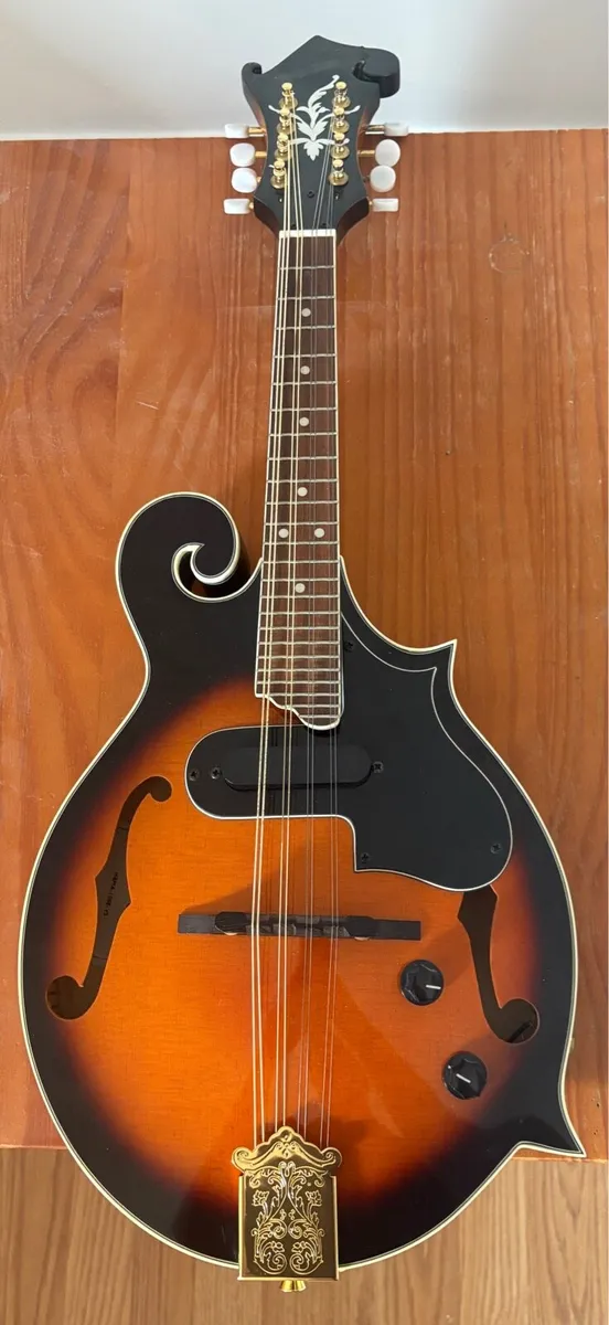 Electric Mandolin & Gig Bag - Image 1