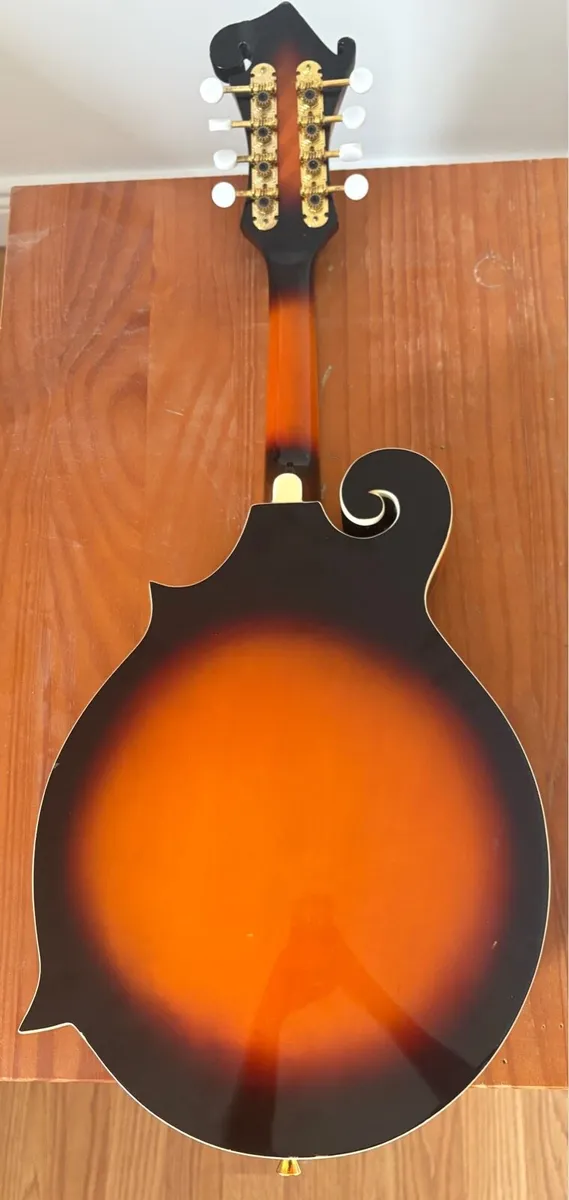 Electric Mandolin & Gig Bag - Image 2
