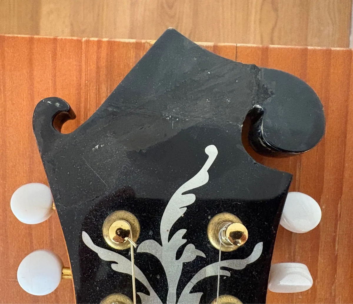 Electric Mandolin & Gig Bag - Image 4