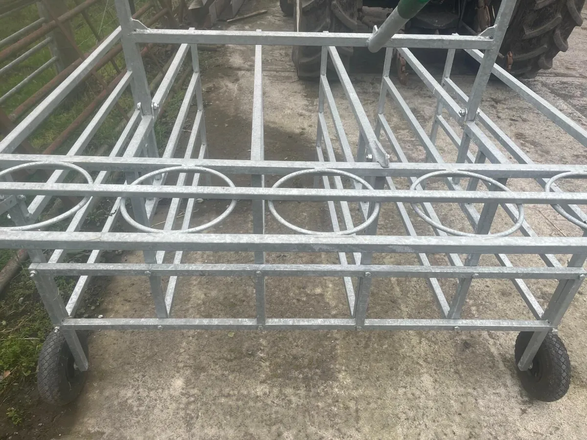 Condon Calf Starter Box - Image 1