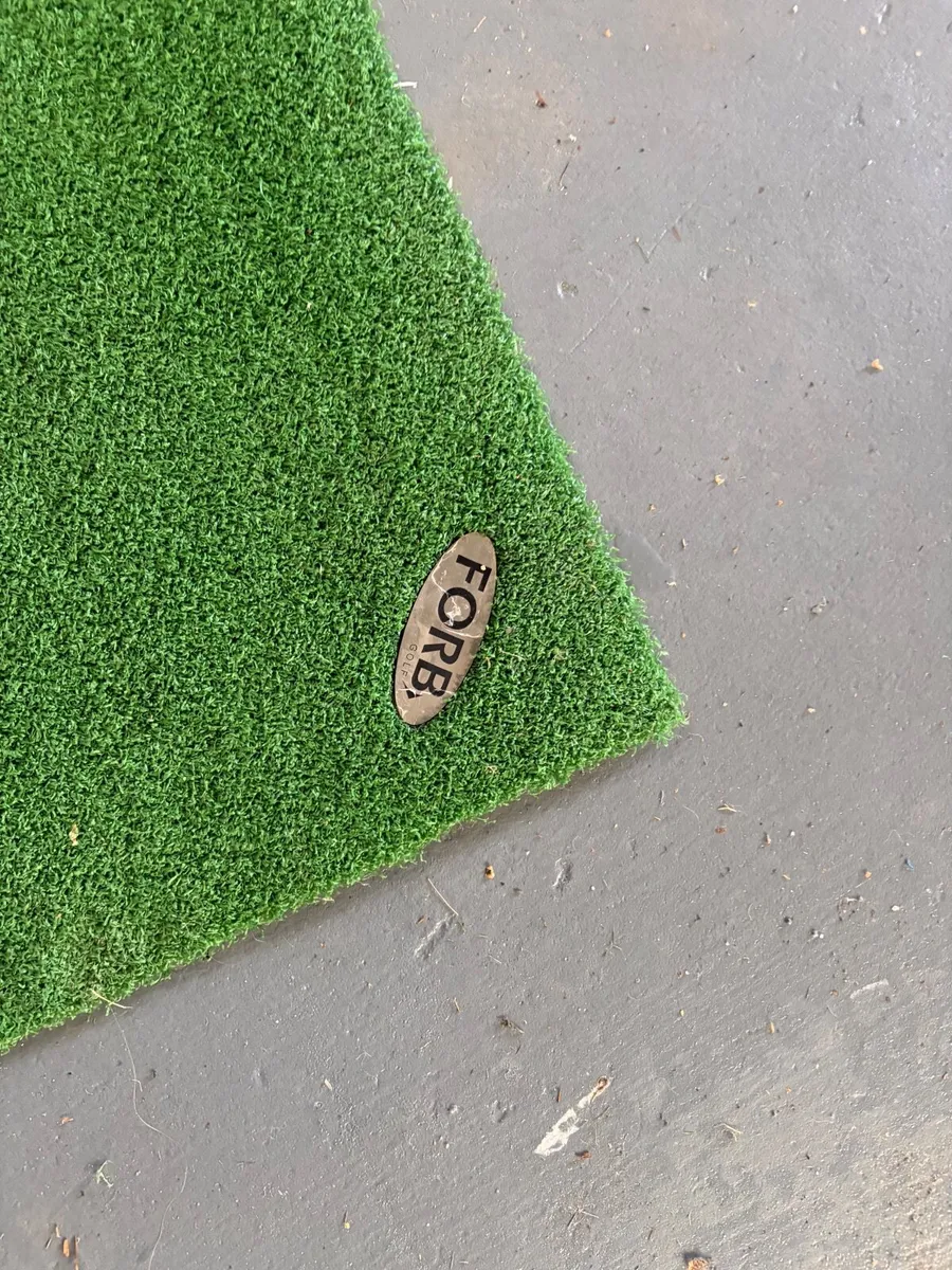 Golf net and Matt - Image 1