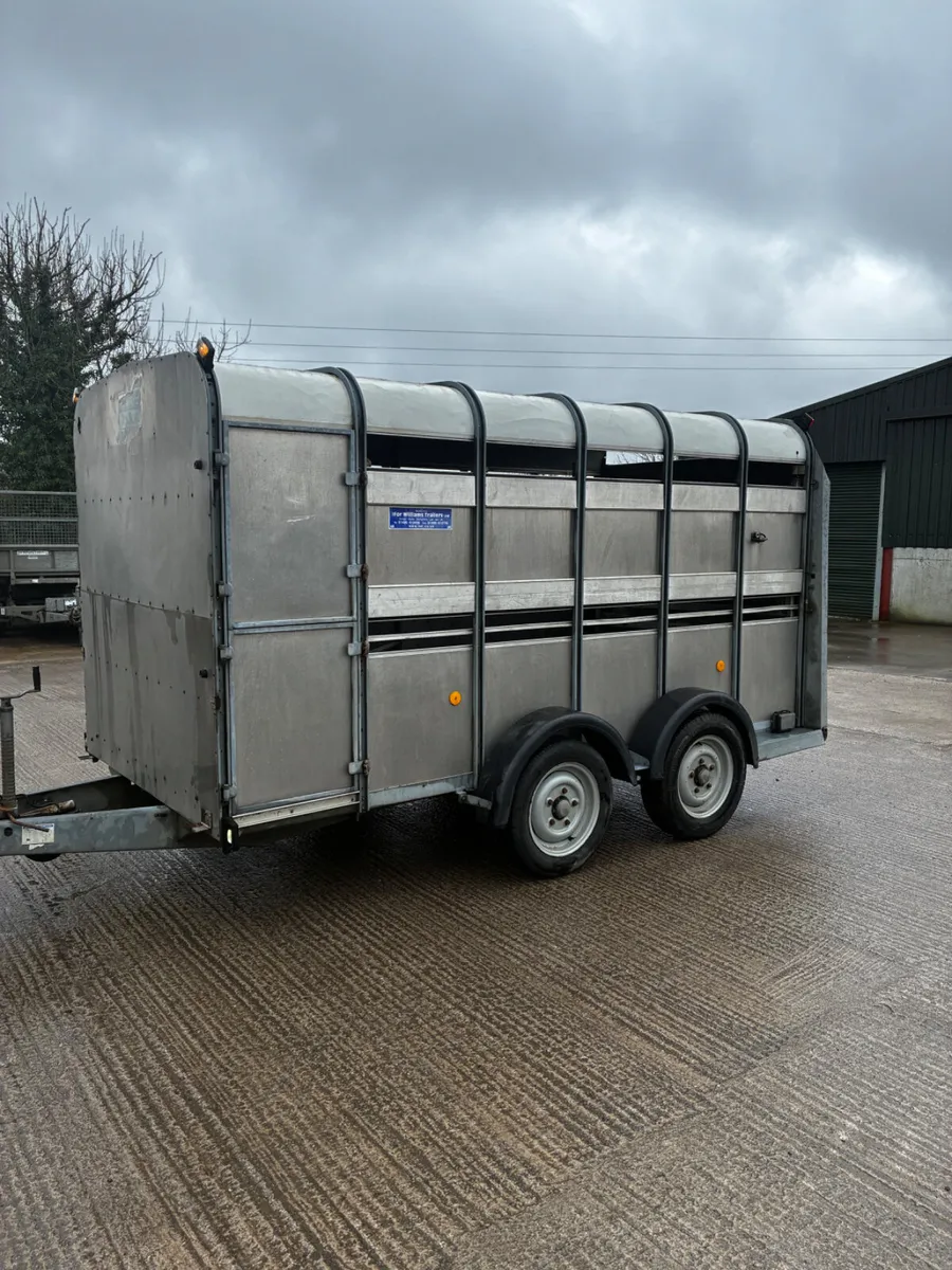 12ft Ifor Williams livestock trailer - Image 4