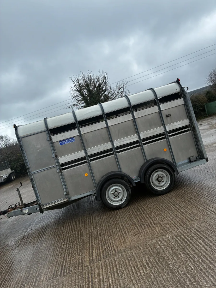 12ft Ifor Williams livestock trailer - Image 3