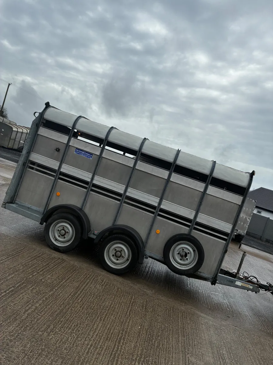 12ft Ifor Williams livestock trailer - Image 2