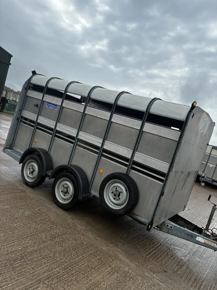 12ft Ifor Williams livestock trailer - Image 1
