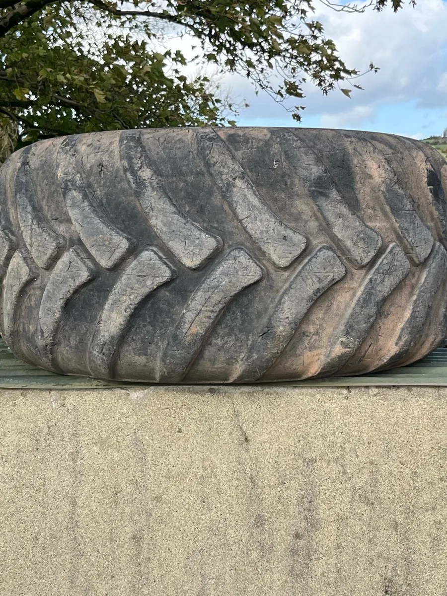 Dumper tyres/ tractor tyres - Image 2