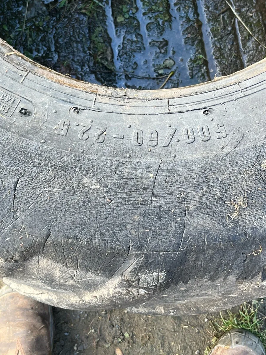 Dumper tyres/ tractor tyres - Image 3