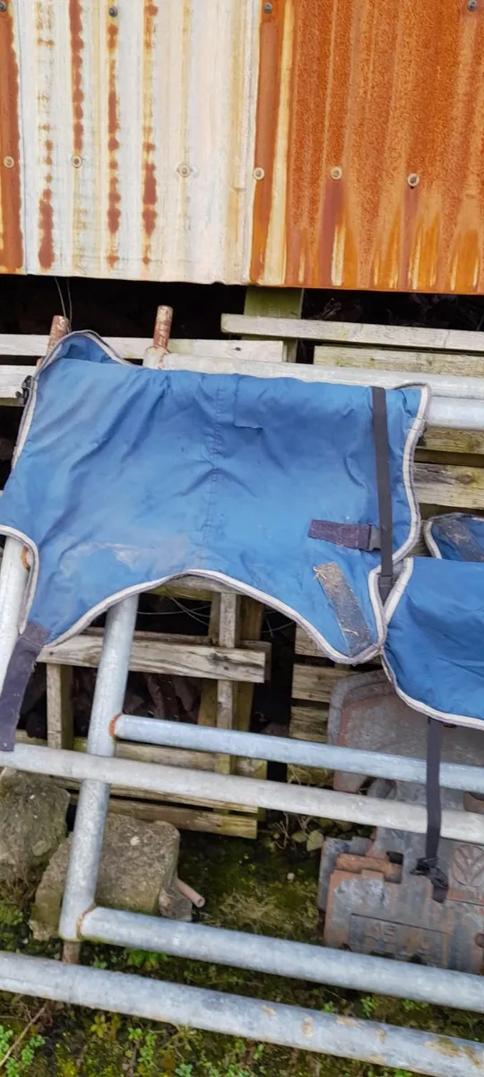 Calf teat feeder calf jackets - Image 4