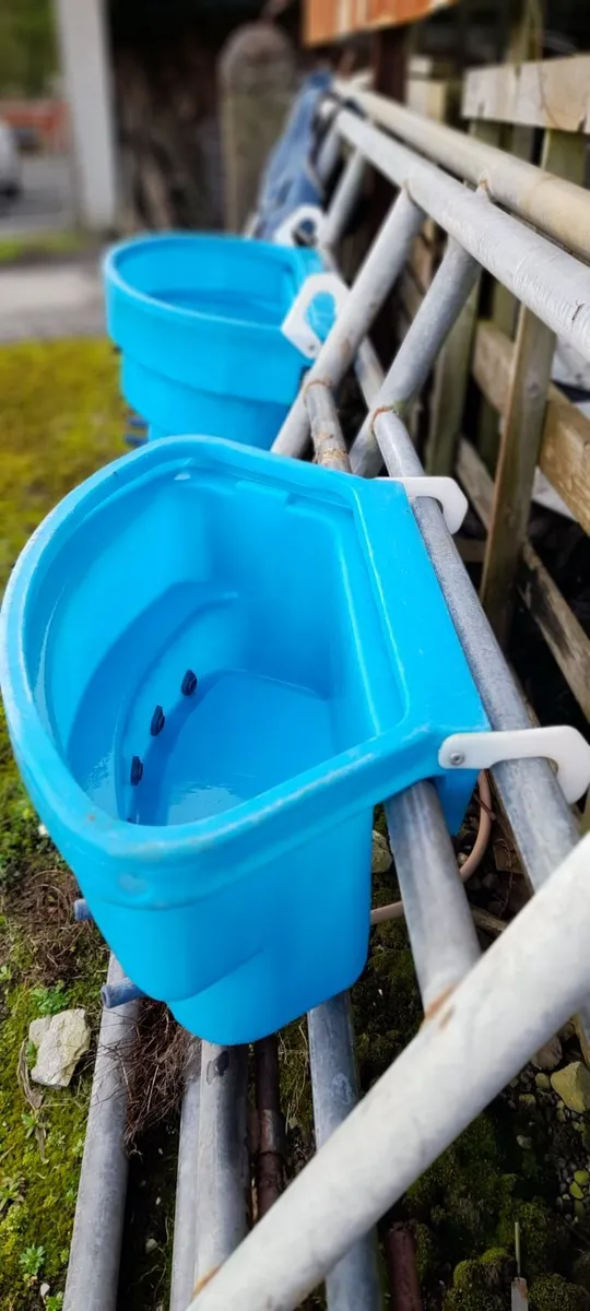 Calf teat feeder calf jackets - Image 1