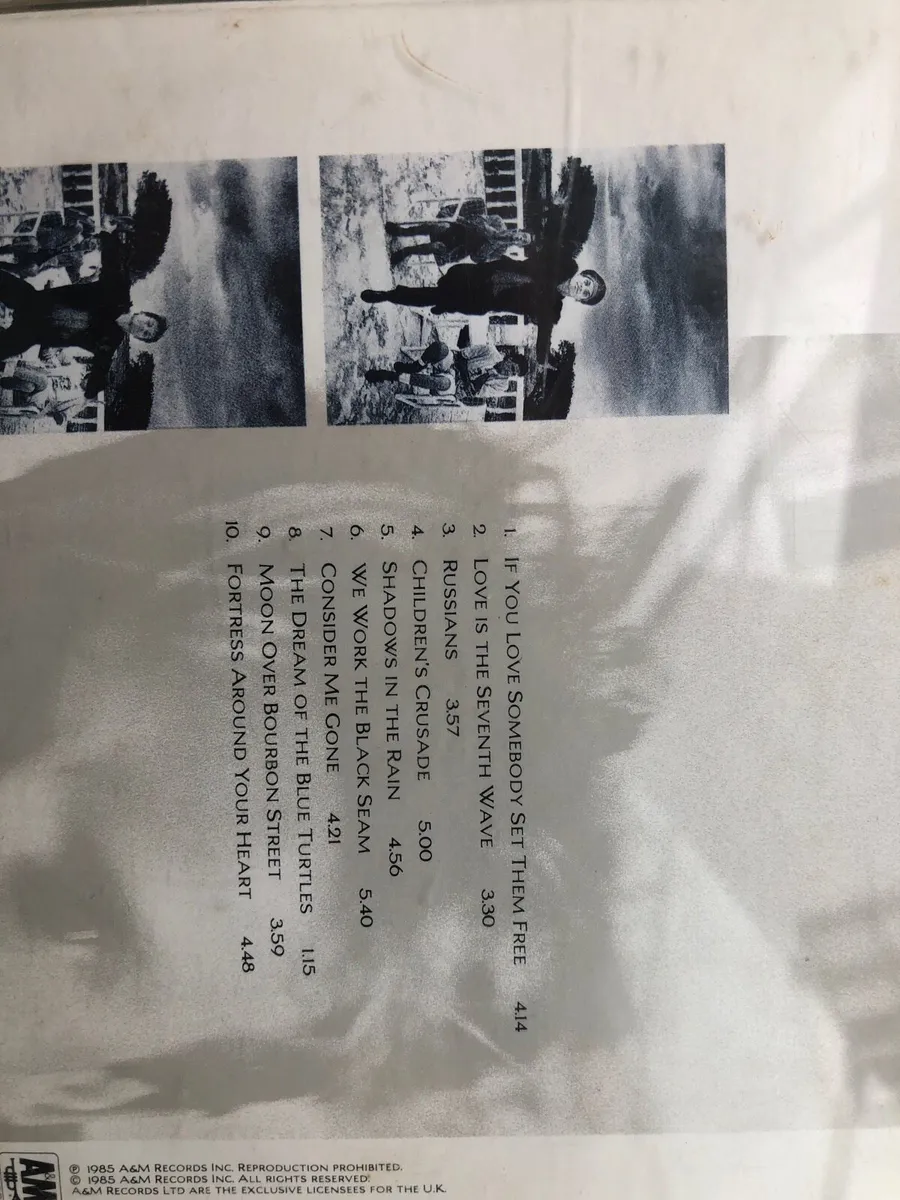 Sting The Dream Of The blue Turtles - Image 2