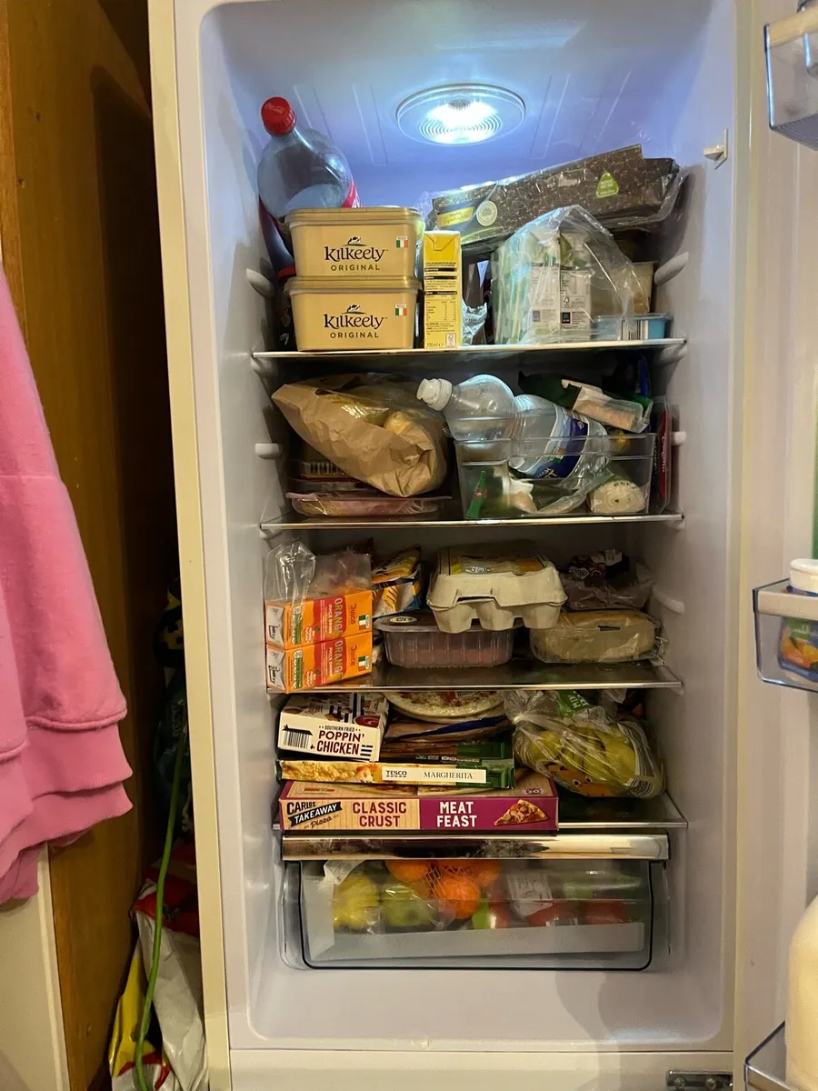 Electriq fridge freezer - Image 1