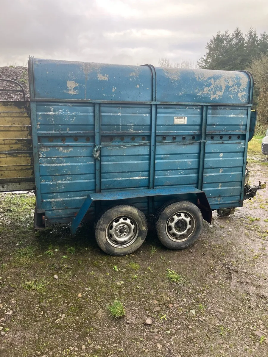 Cattle trailer - Image 2