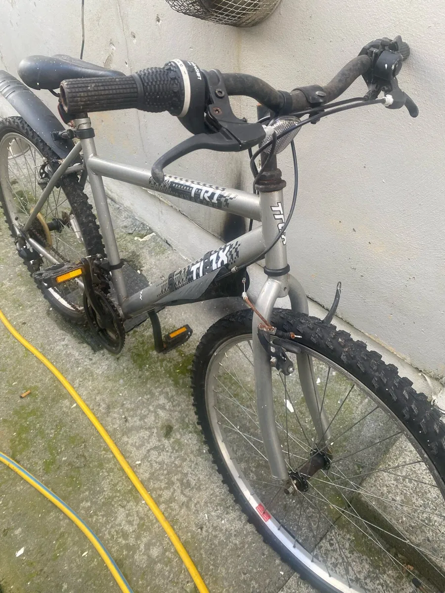 Mountain bike - Image 1