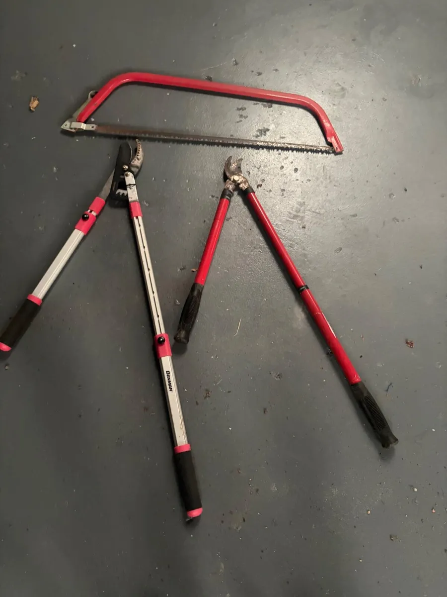 Tree pruning tools - Image 3