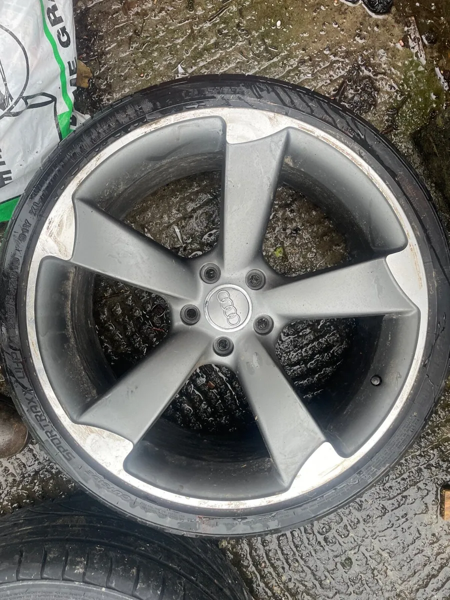 19” Ttrs - Image 1