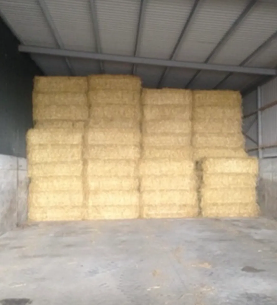 straw. Silage &Chopped straw also - Image 1