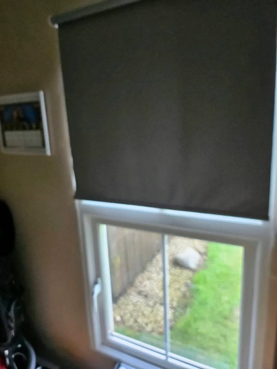 Garden office - Image 4