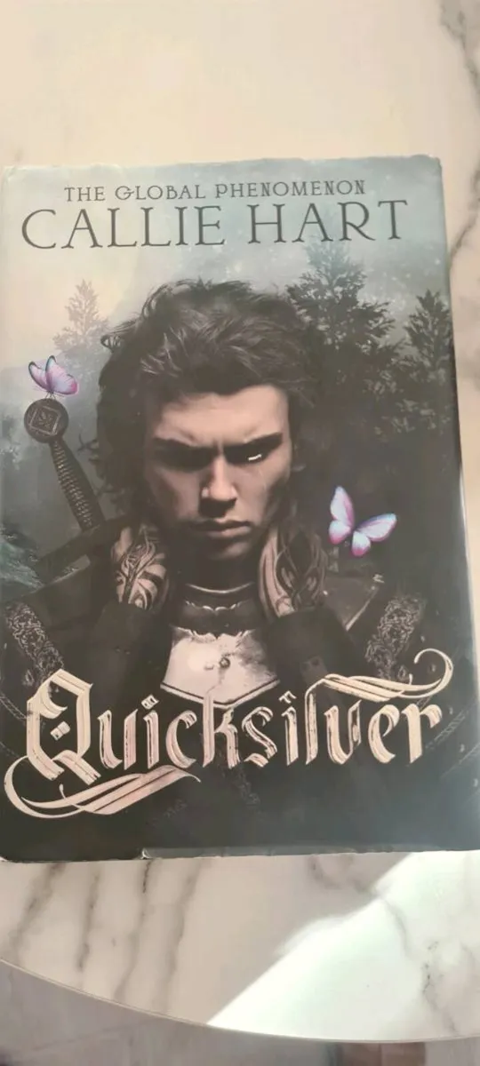 Quicksilver book - Image 1