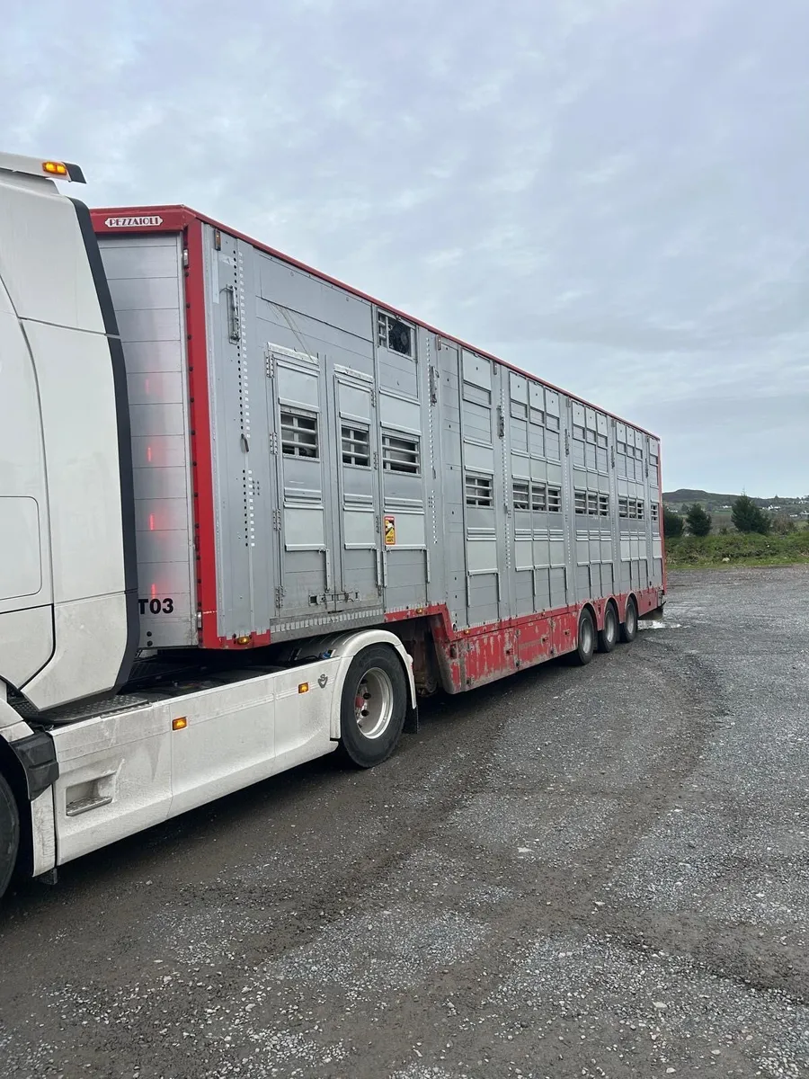 2014 Pezzaioli 3 Deck Livestock Trailer - Image 1