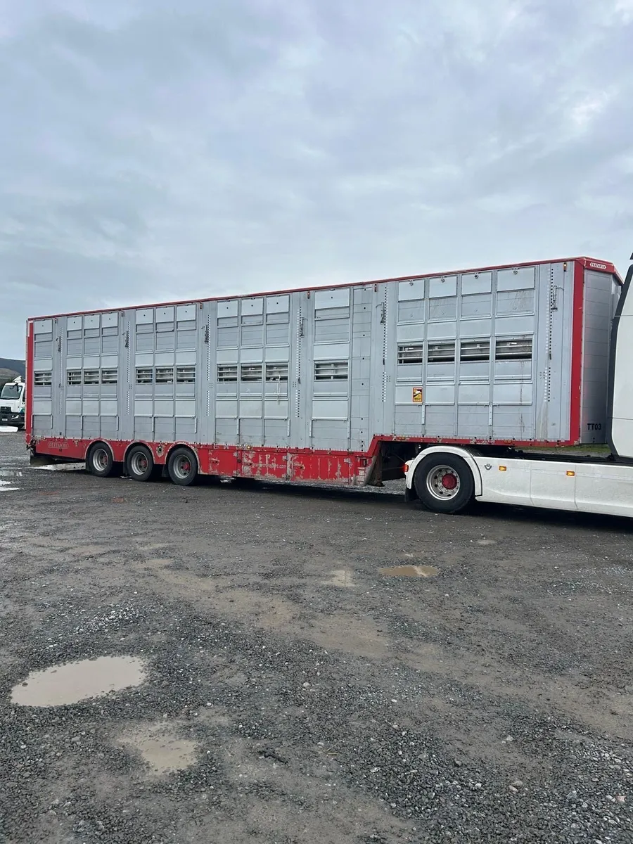 2014 Pezzaioli 3 Deck Livestock Trailer - Image 2