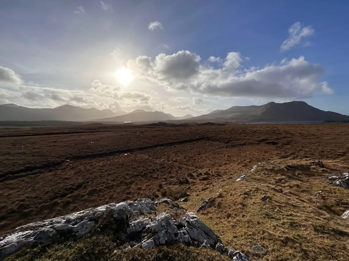 110 Acres of Commonage - Image 4