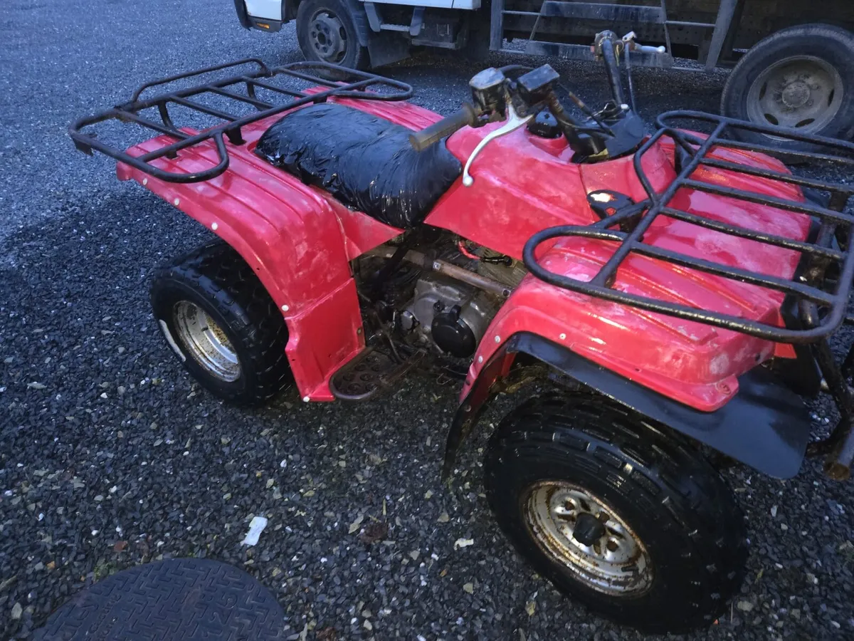 250 farm quad - Image 2