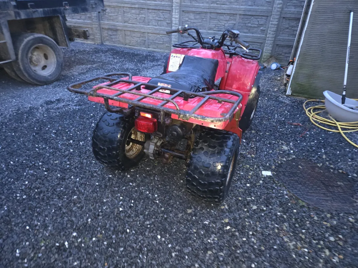 250 farm quad - Image 4