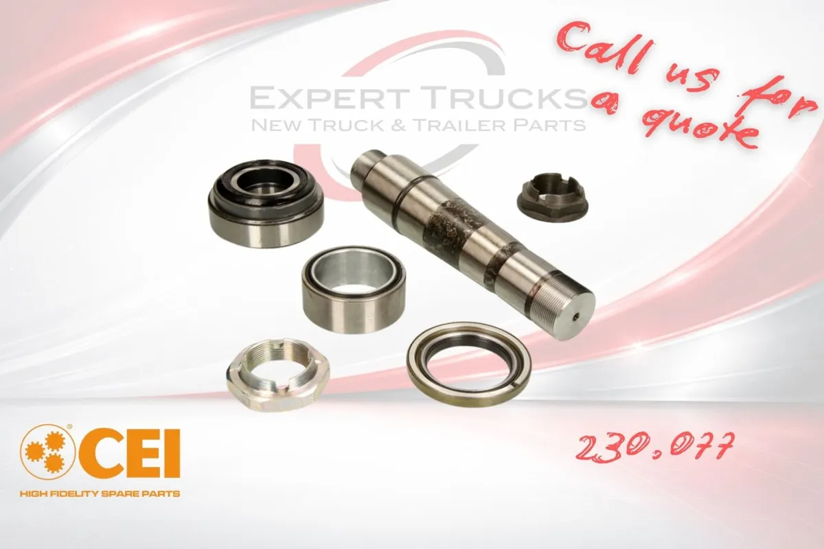 VOLVO REN KING PIN KIT PER STUB (CEI)