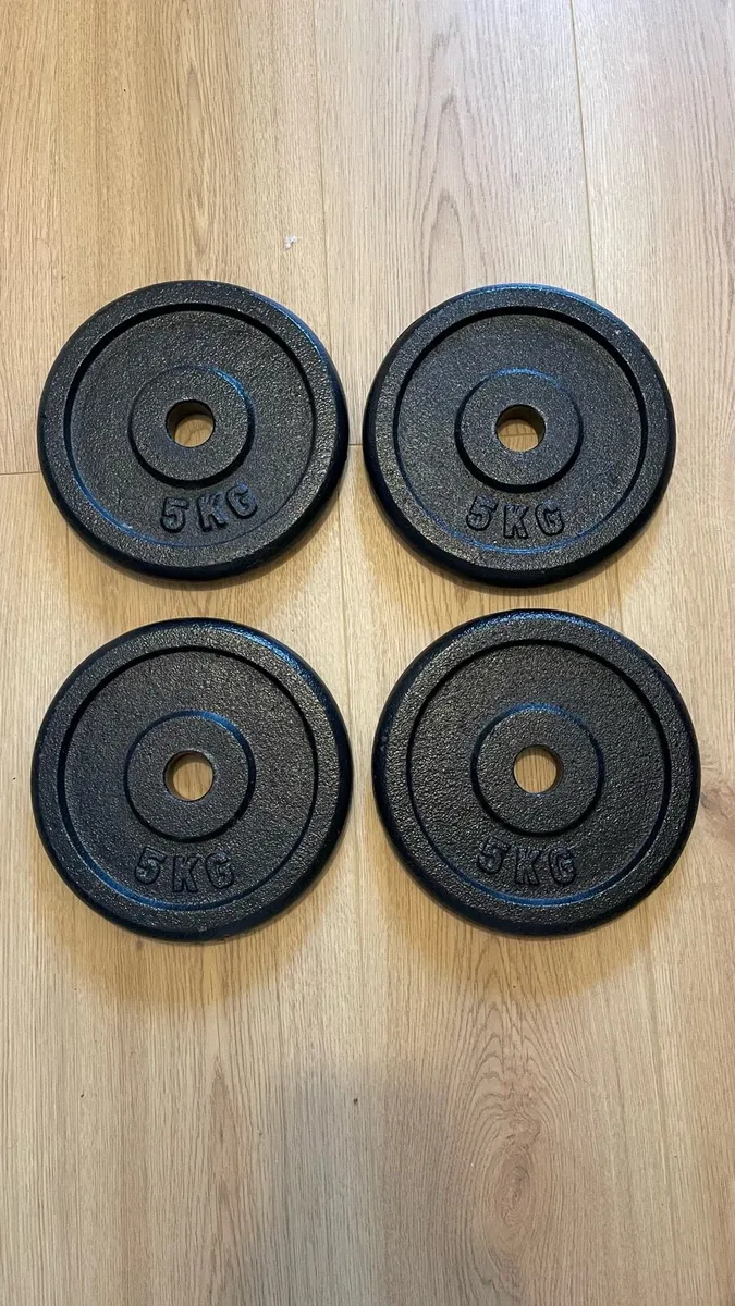 5kgX4 Standard Steel Plates - Image 1