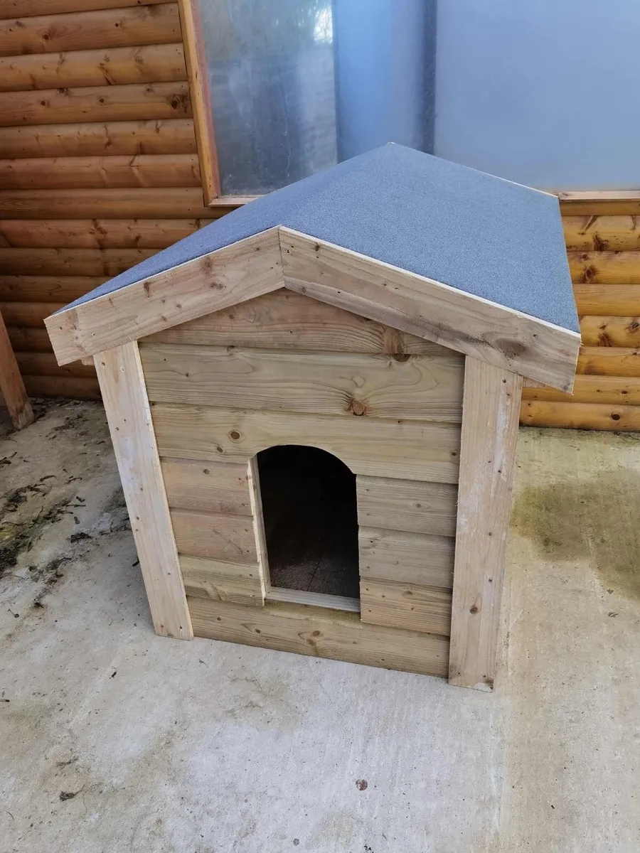 Large size - Image 3