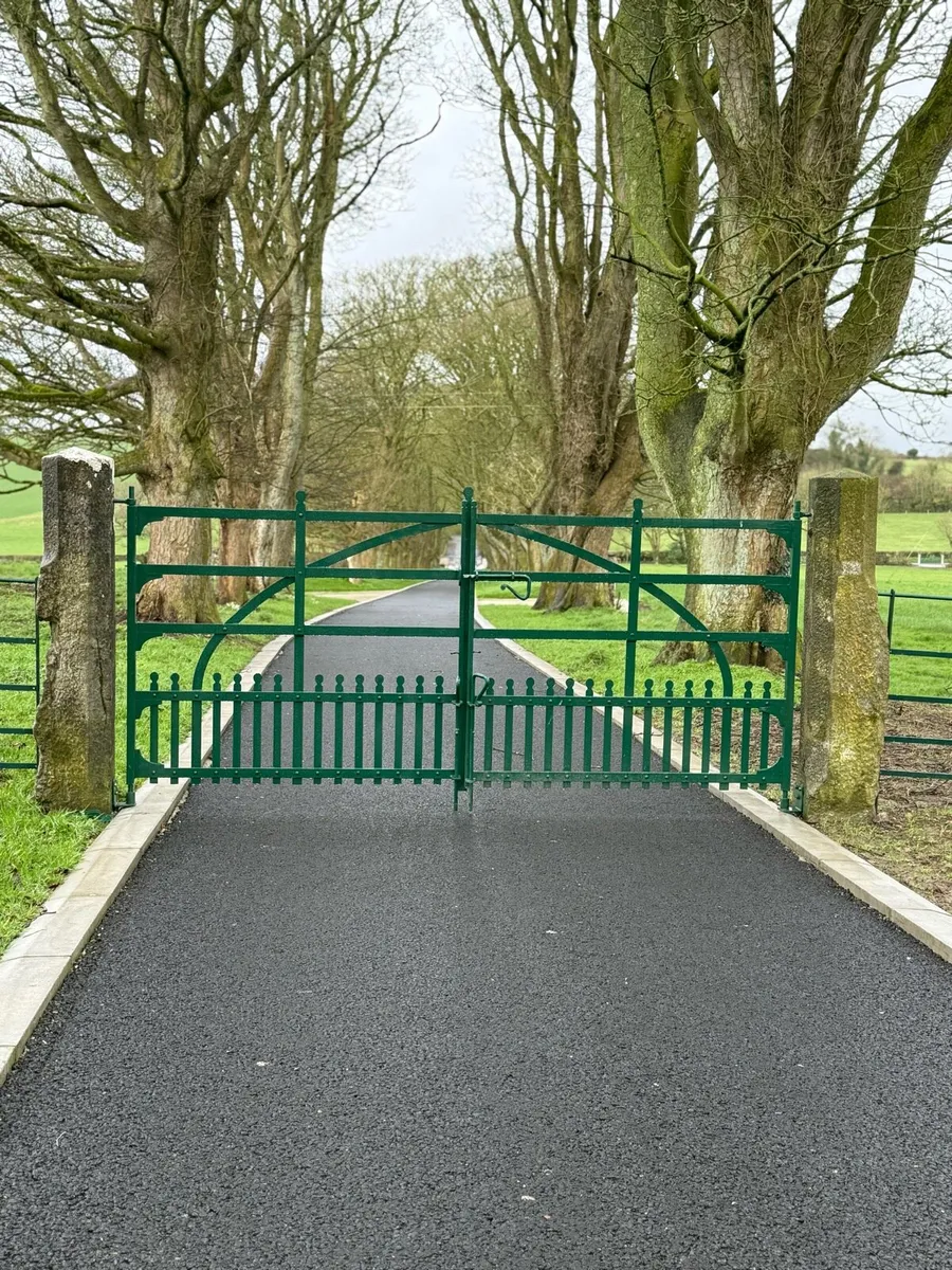 Iron gates - Image 1