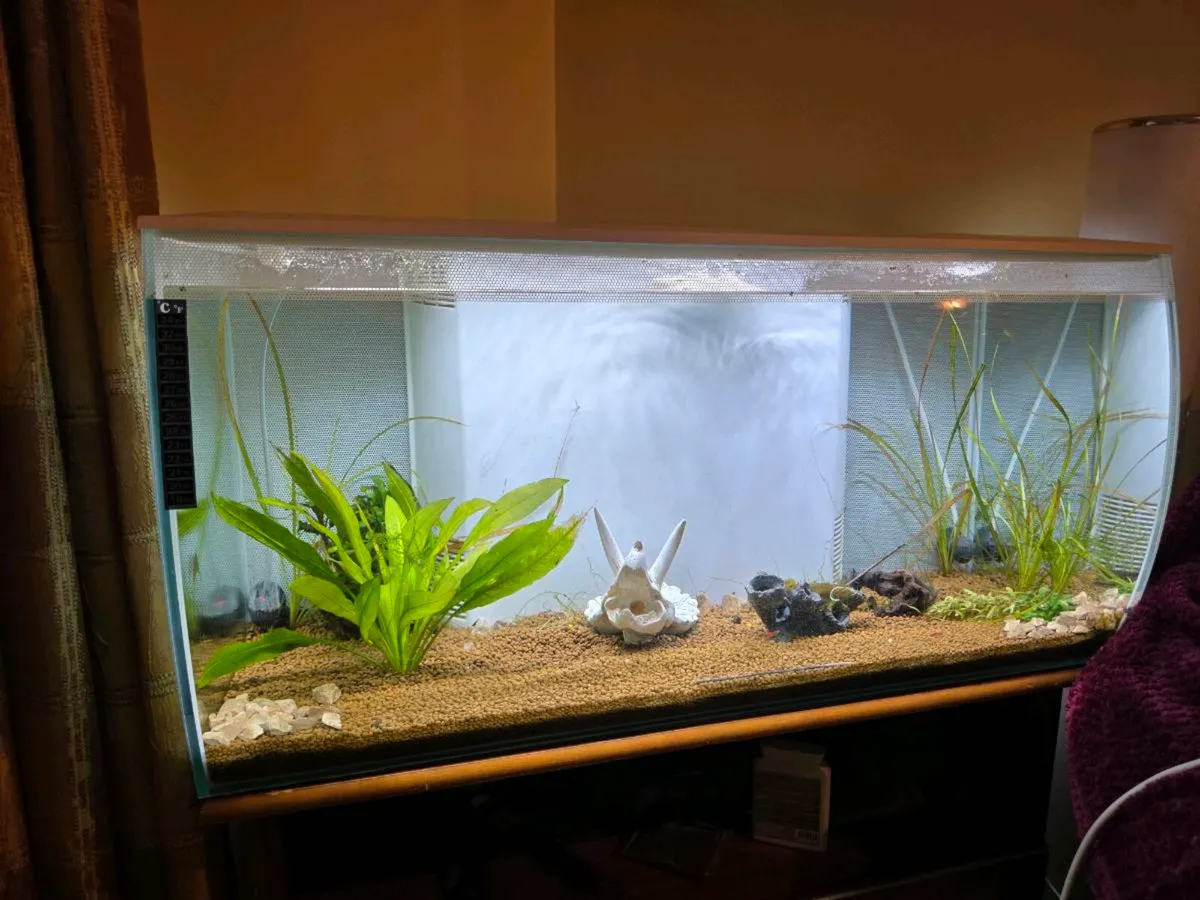 Fluval 125 fish tank - Image 1