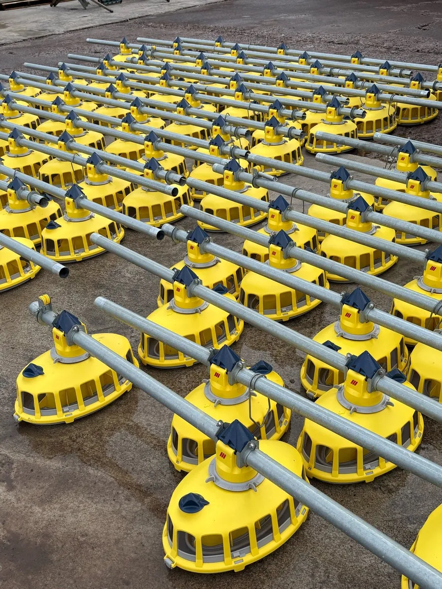 Poultry Equipment for sale - Image 2