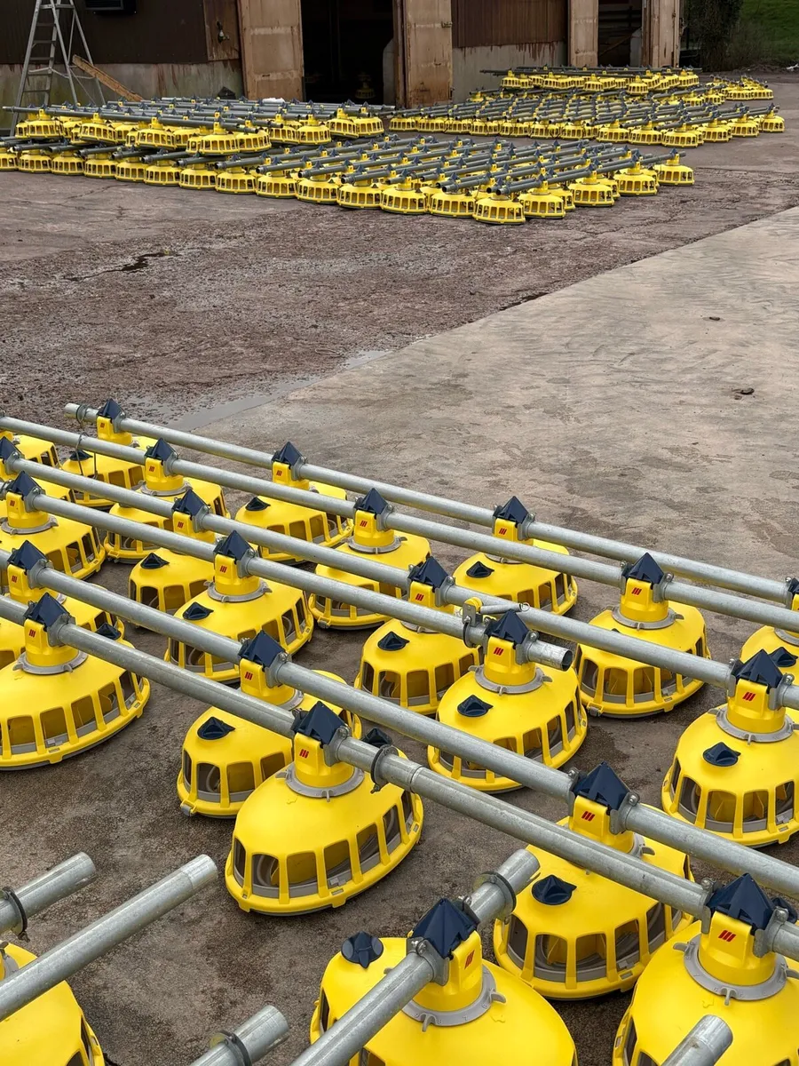 Poultry Equipment for sale - Image 1