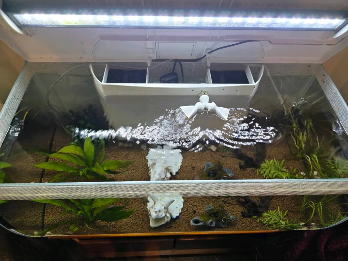 Fluval 125 fish tank - Image 2