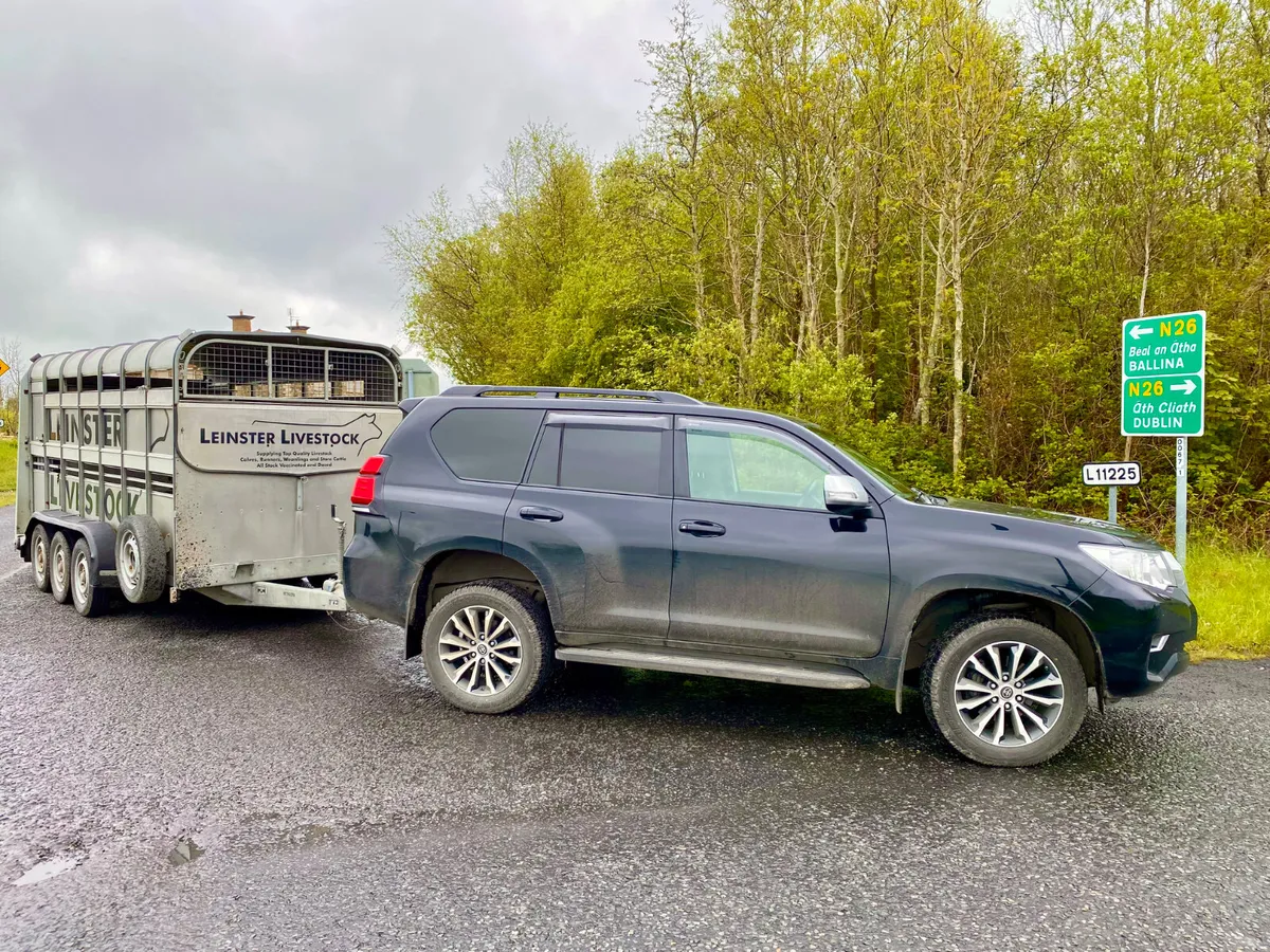 FREE • FREE • FREE • FREE • FREE • FREE - Image 2