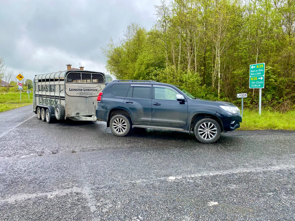 FREE • FREE • FREE • FREE • FREE • FREE - Image 3