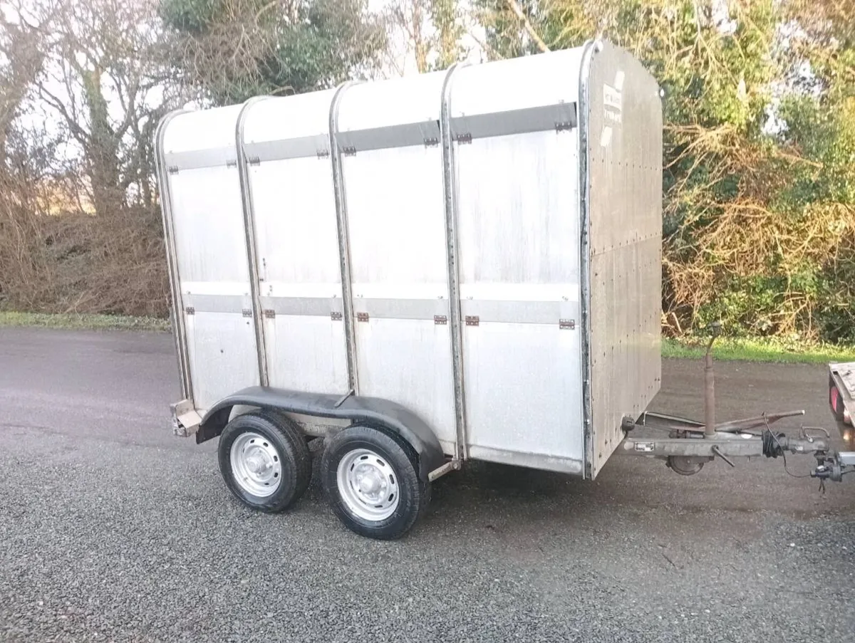CATTLE TRAILER - Image 1