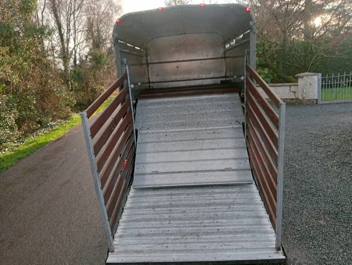 CATTLE TRAILER - Image 3