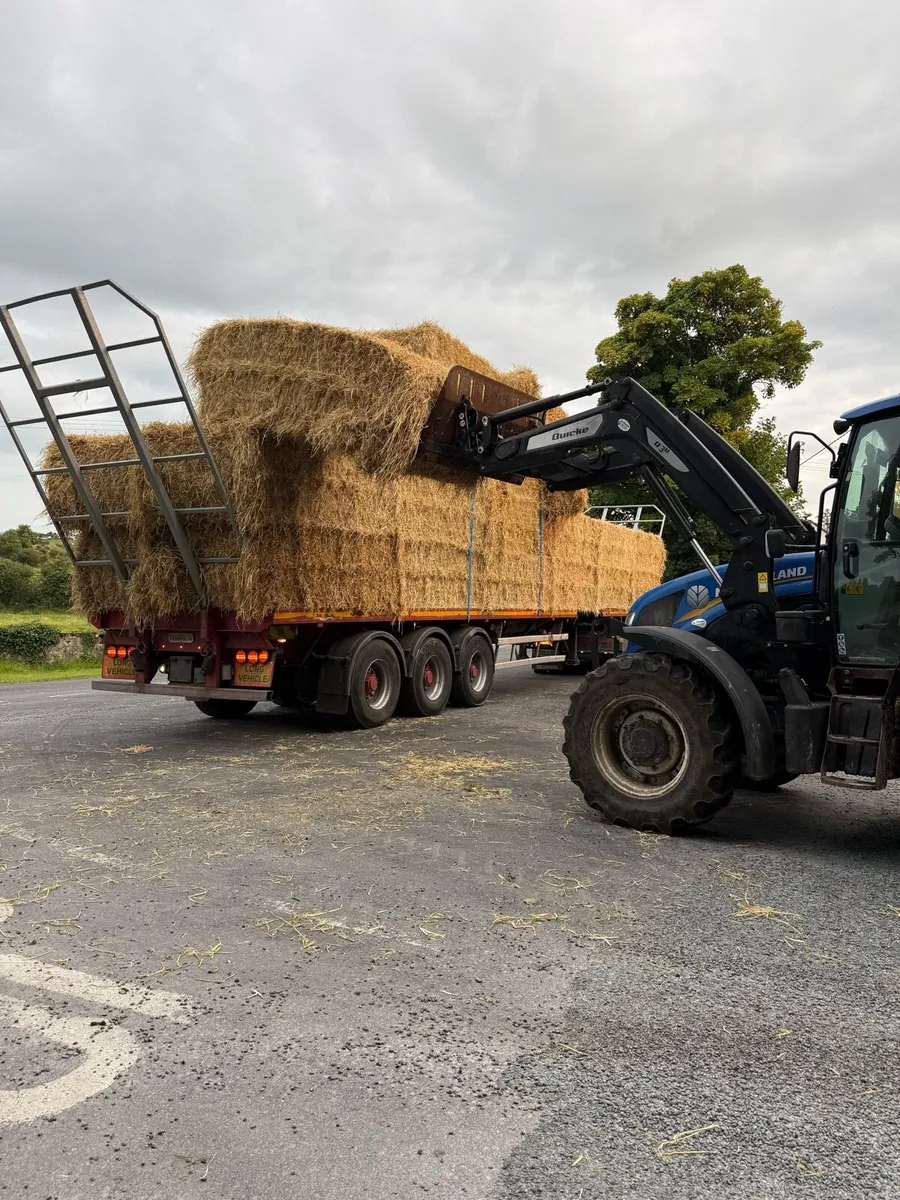 8x4x3 barley straw Roscommon - Image 3