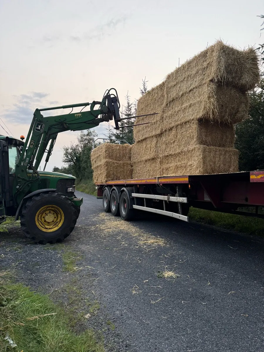 8x4x3 barley straw Roscommon - Image 4