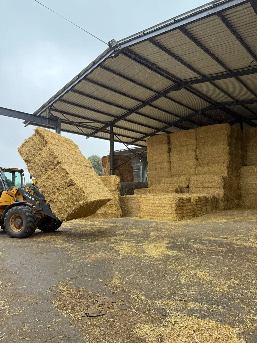 8x4x3 barley straw Roscommon - Image 1