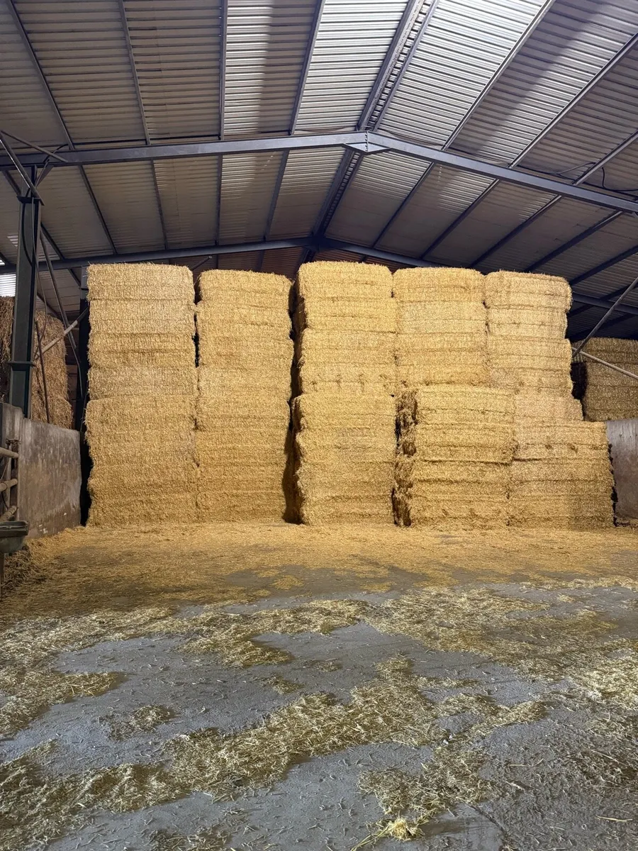 8x4x3 barley straw Roscommon - Image 2