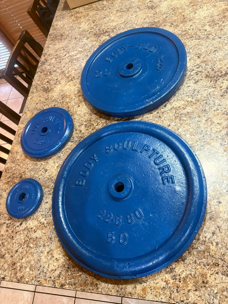 METAL WEIGHT PLATES, 22KG,20KG,6KG,2KG - Image 1